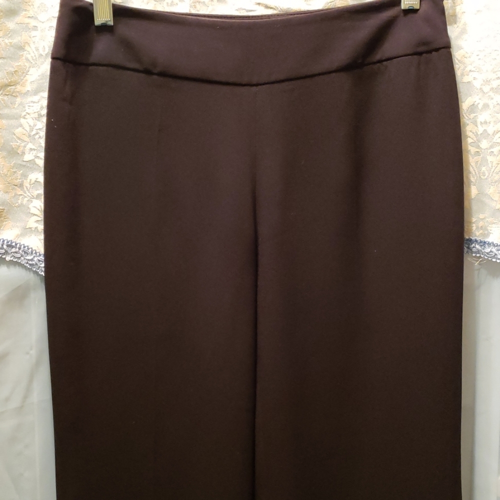 TALBOTS PETITES, CLASSIC, SIDE ZIP/BUTTON DRESS PANTS Sz2P